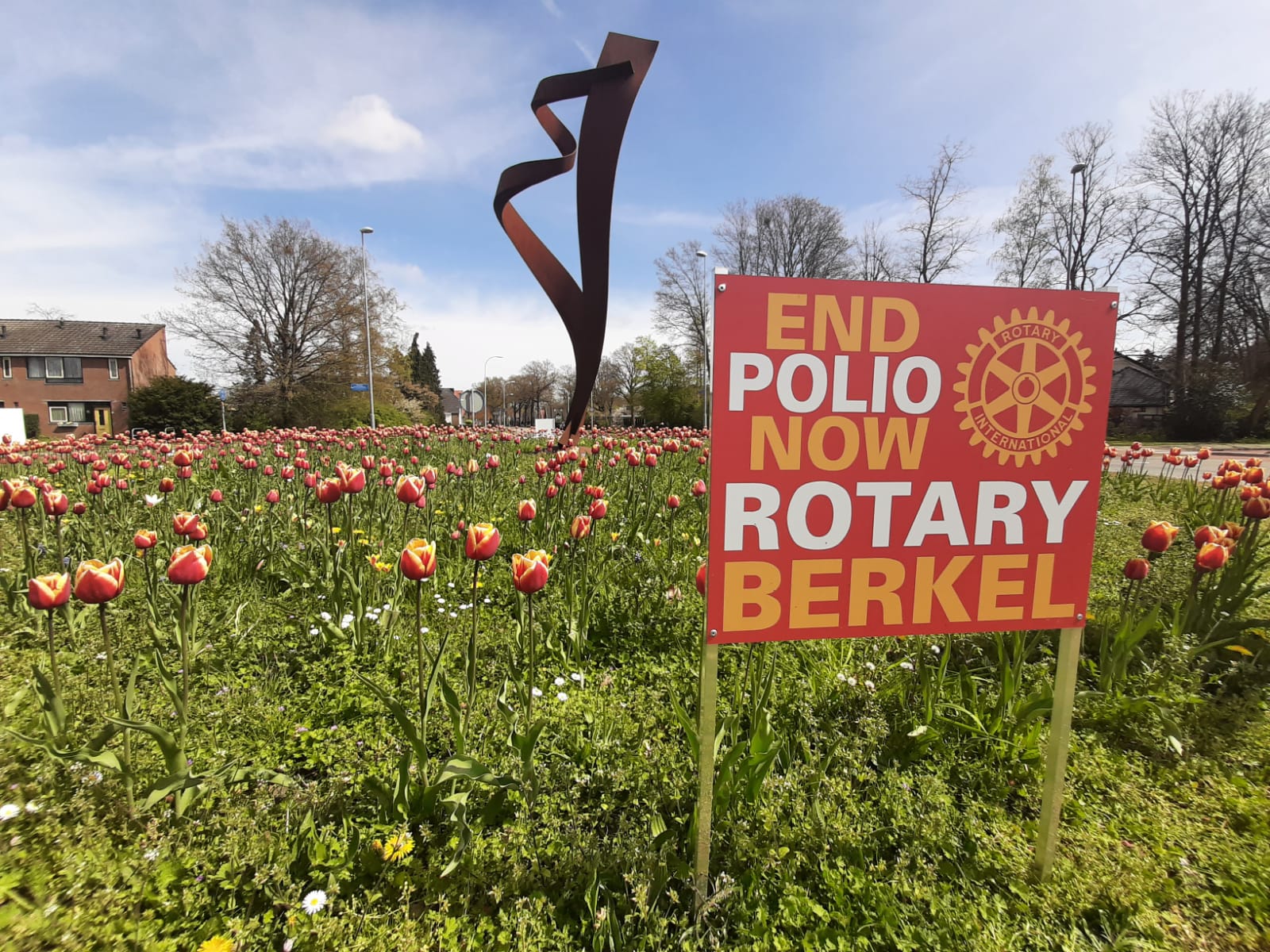 Tulpenbollen actie